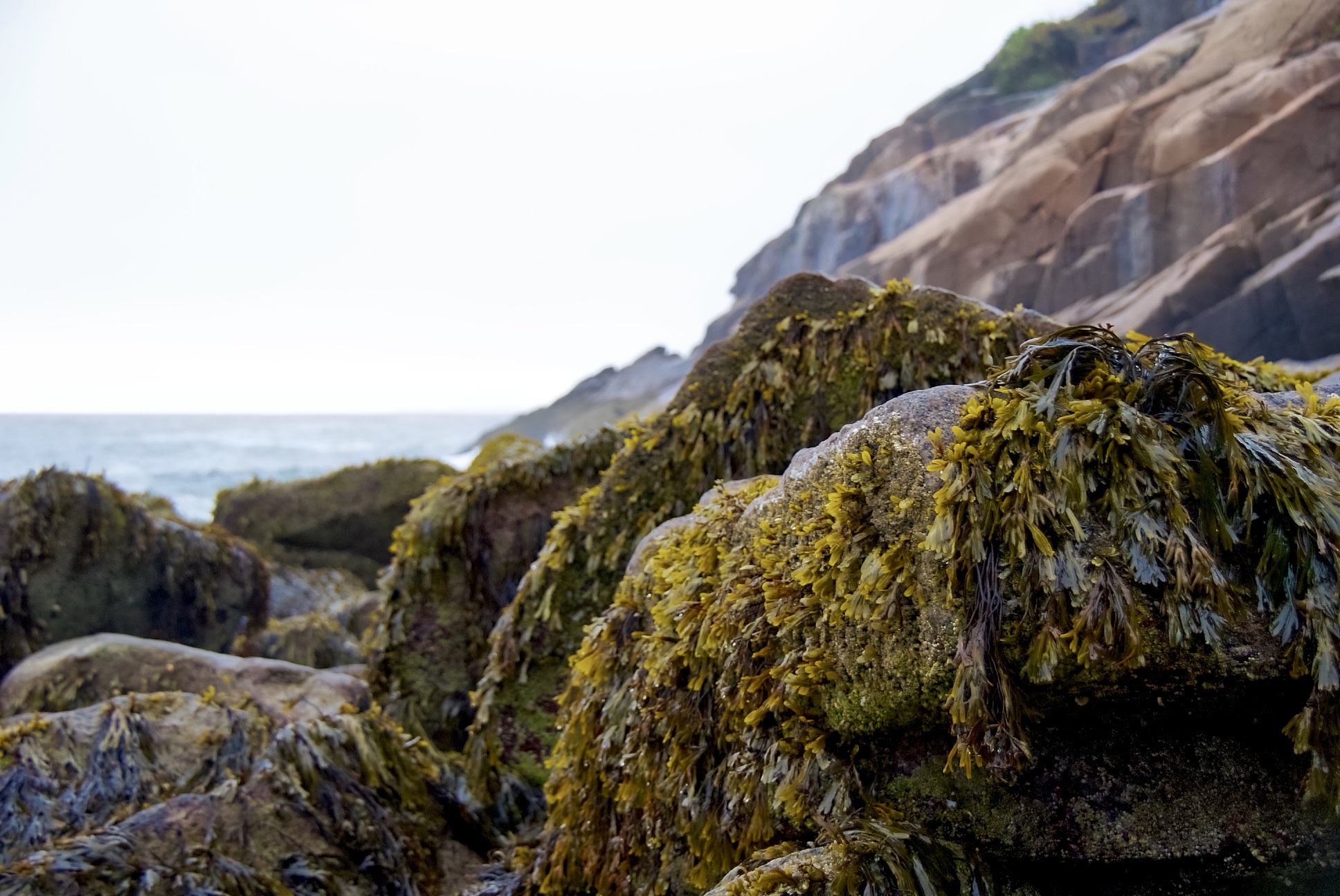 Leave No Trace