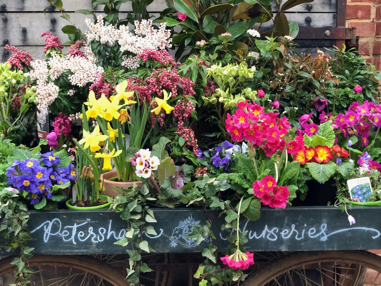 London-PetershamNurseriesFlowers.jpg