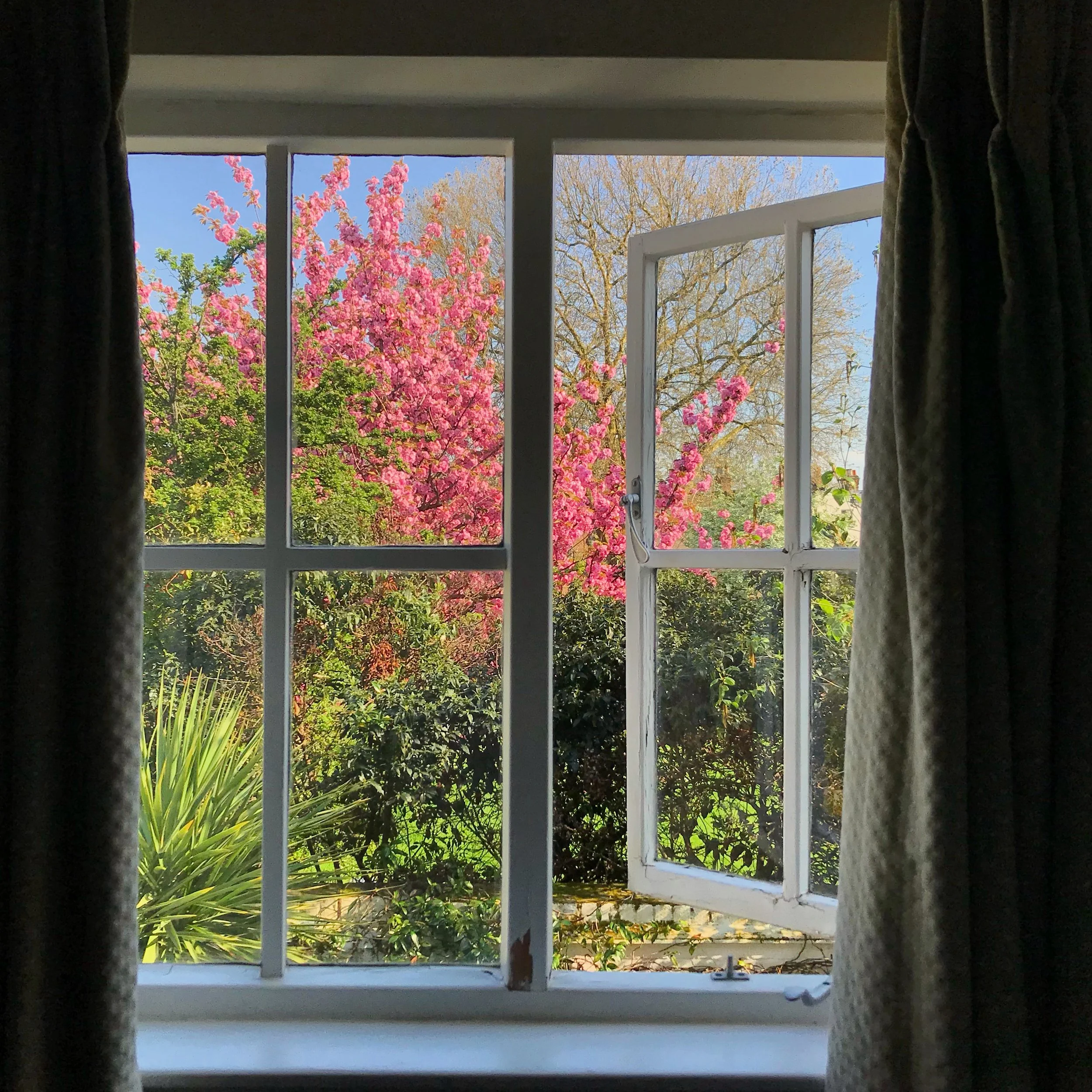 Insights & Inspirations: May