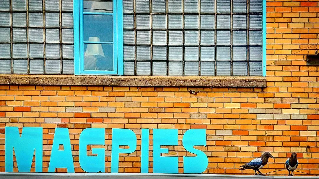 Magpies Bakery