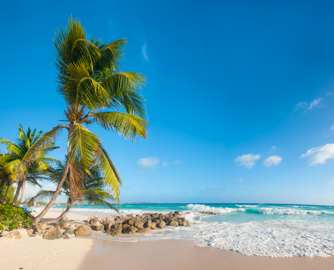iStock-911690440.jpg