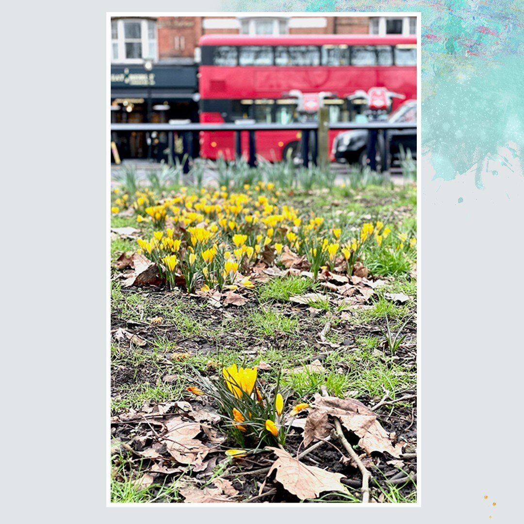 Spring is emerging in London, and it's a delight, especially as the UK's lockdown starts to ease. We can resume spending time with a friend outdoors (starting today, hooray!).⠀⠀⠀⠀⠀⠀⠀⠀⠀
⠀⠀⠀⠀⠀⠀⠀⠀⠀
I've been absent from social media for a much-needed br