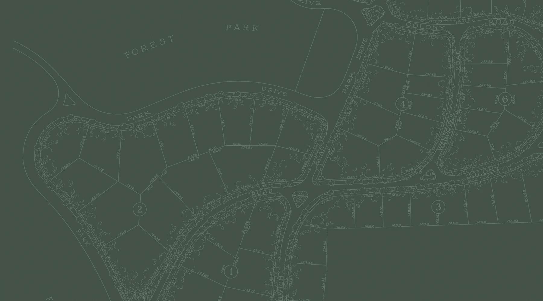 ForestPark.jpg
