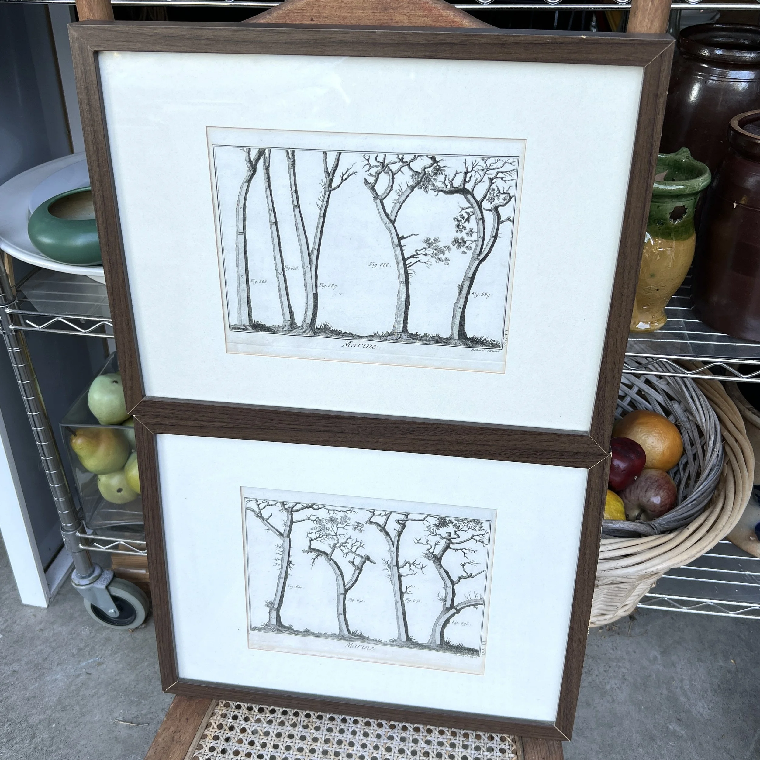 2 Antique "Marine" Etching Trees for Shipbuilding