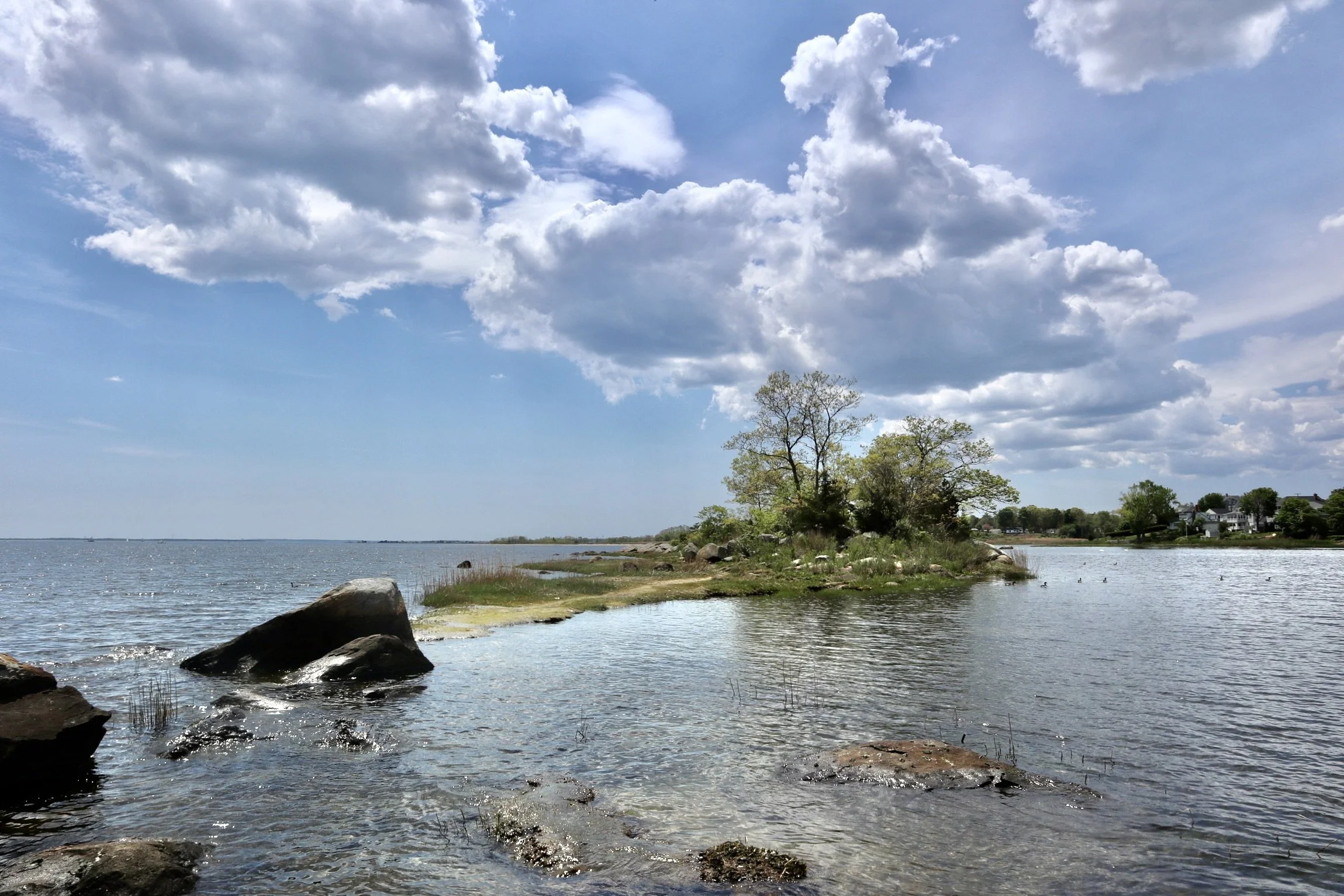 CB97EAD8-1BB3-47D7-9821-AFA9C19D0282 3.JPG