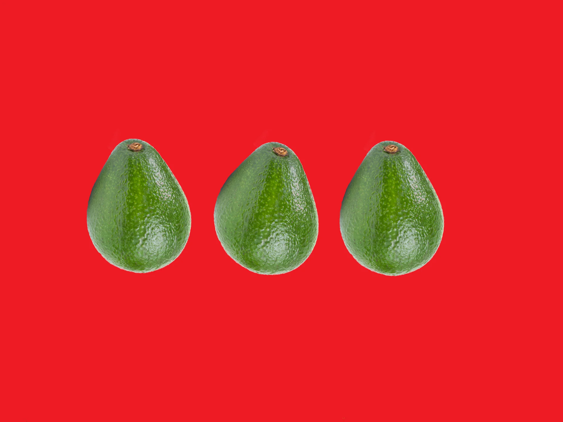 This Continuous Struggle