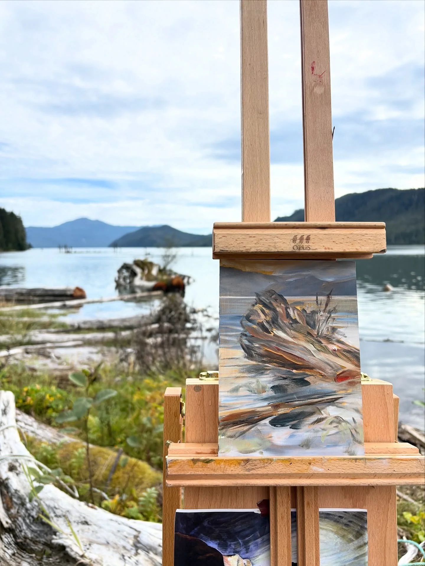 Another day, another painting in paradise @cassiarcannery ! The tide came up super fast so I hopped onto a log to get a few more brush strokes down before moving my easel!!😝 

The thing I like about creating little mini paintings like this one is th