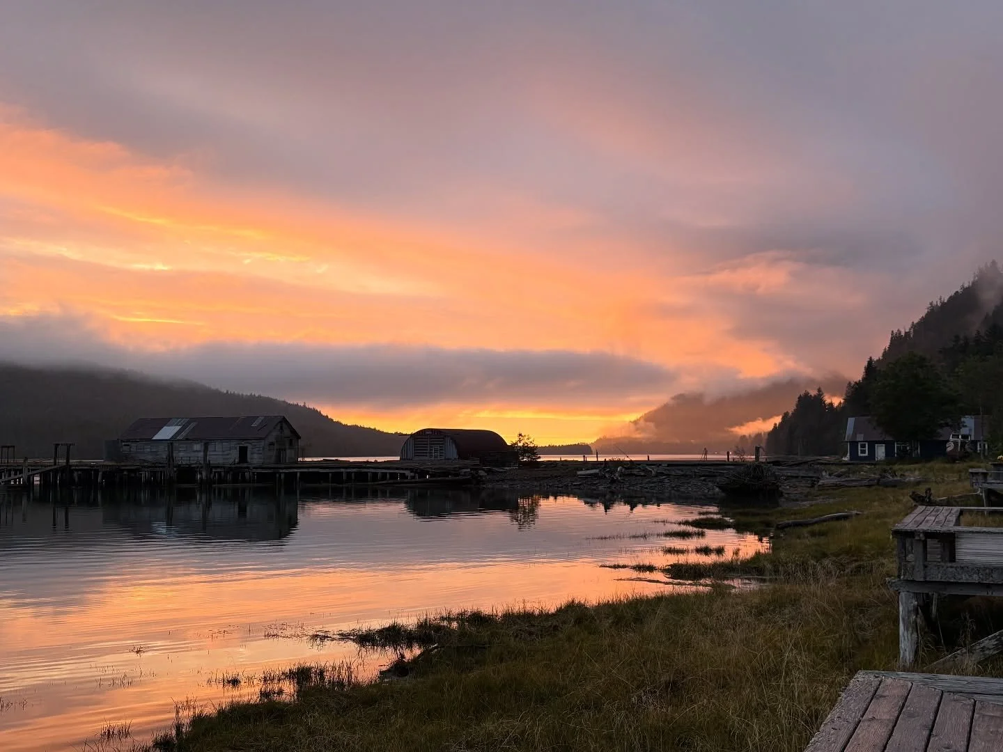 Life lately💛  Sharing some of my favorite photos from the camera roll of the dazzling surroundings @cassiarcannery and Prince Rupert 📷  I&rsquo;m down to my last couple of days of my artist residency here and have been reflecting on this awesome ex