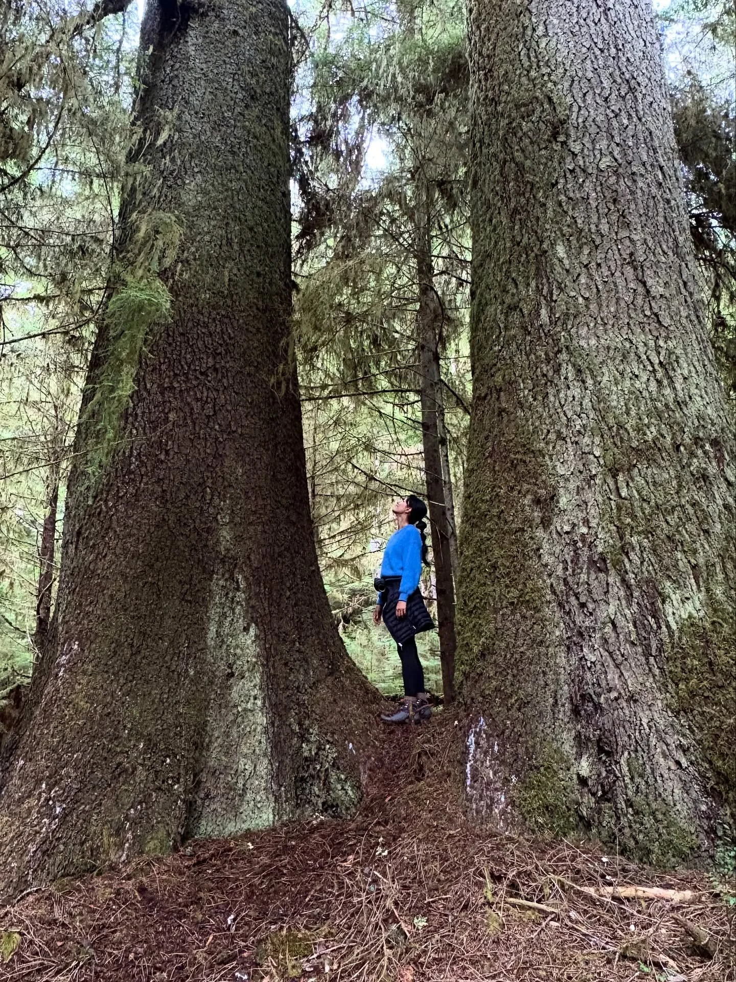 Following rivers through old growth forests and looking for bears on beautiful Moresby island, Haida Gwaii with my adventure buddy @daniel.kaga 🐻💗 There is so much inspiration around every lush corner of these rainforests and beaches that I can&rsq