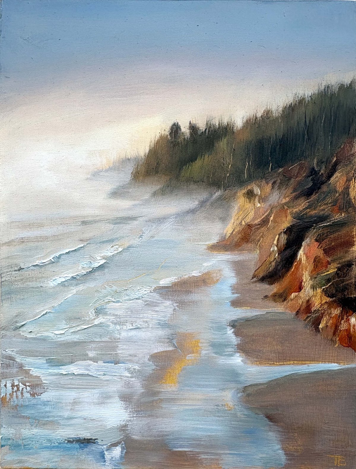 CoastalMist-10x8-oilandwaxonpanel-web.jpg