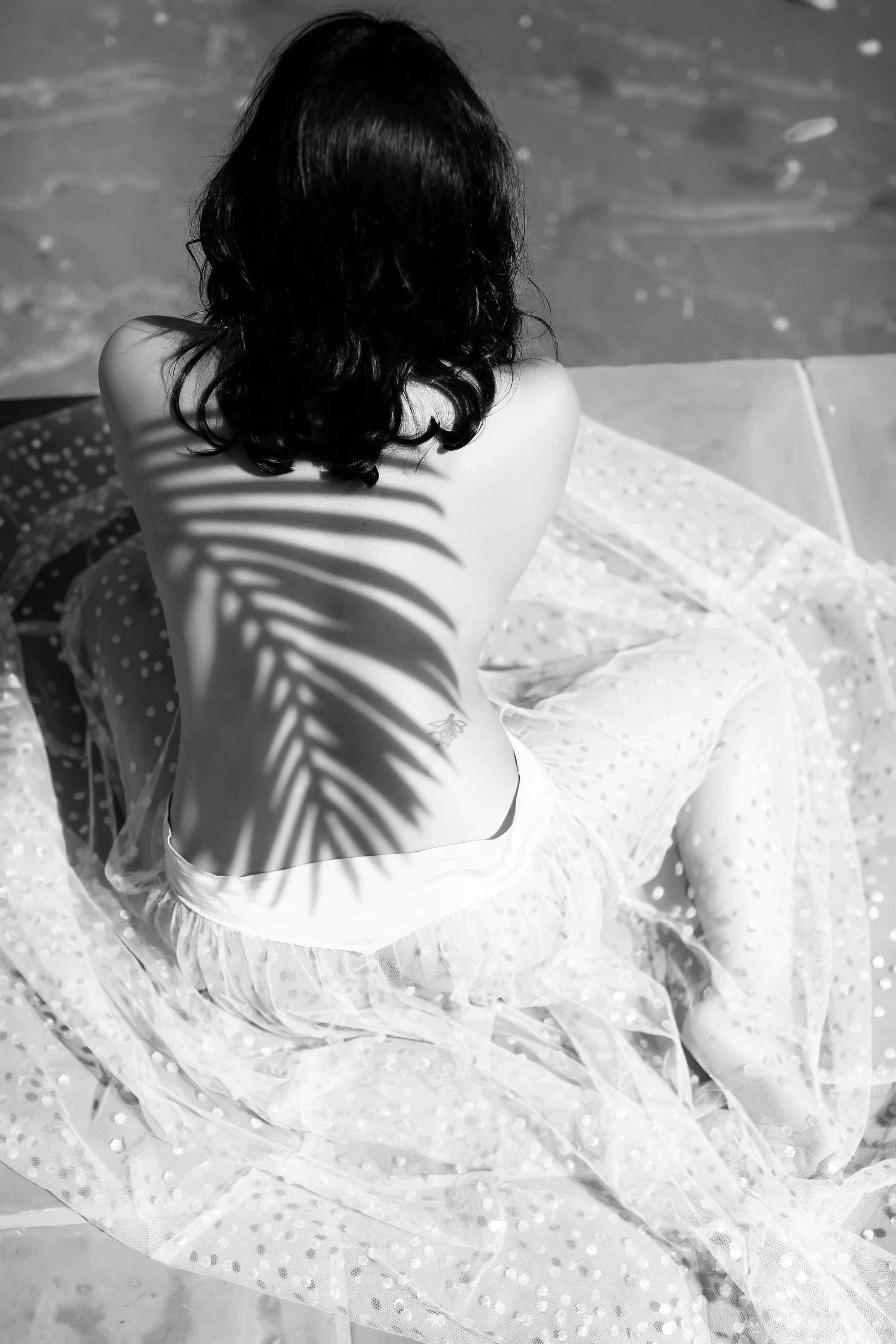 LORI DORMAN PHOTOGRAPHY
