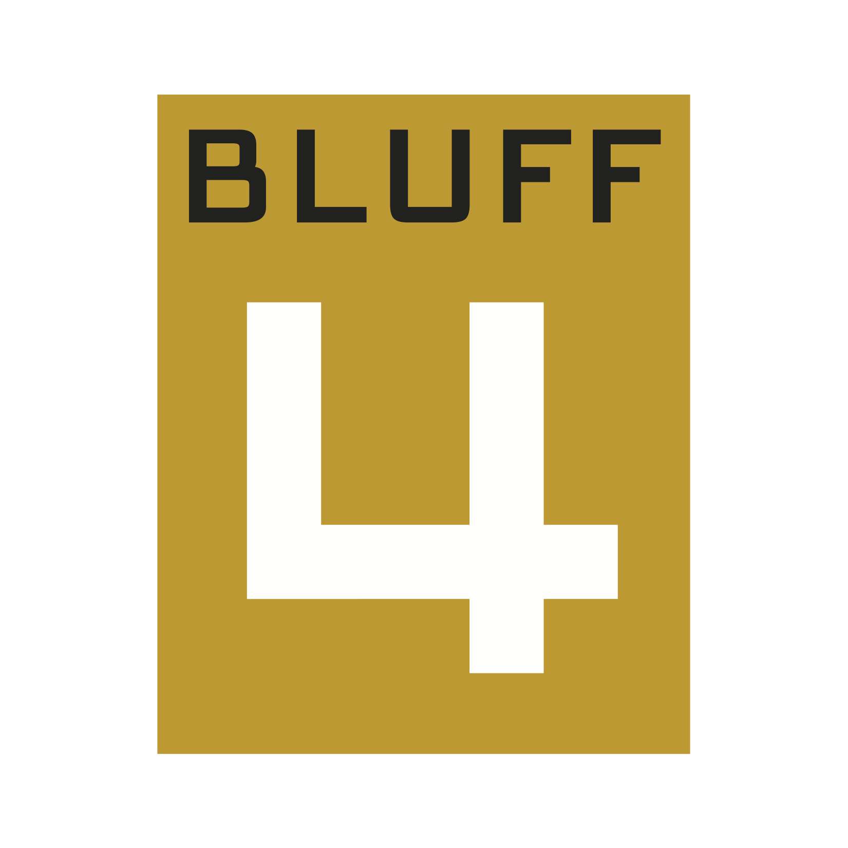  Bluff 4 corporate logo  Naming, branding creative and design by Chuck Mitchell 