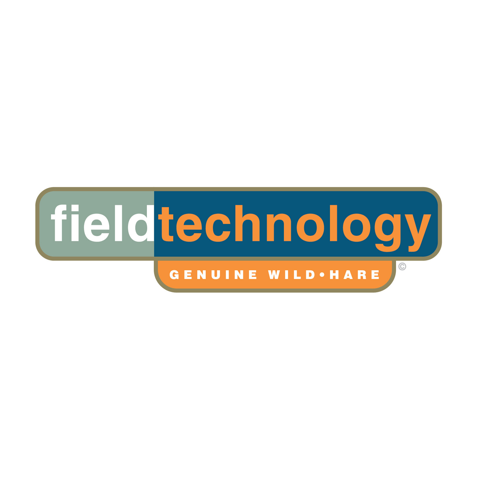  Wild•Hare International Field Technology logo  Design, branding and creative direction by Chuck Mitchell 