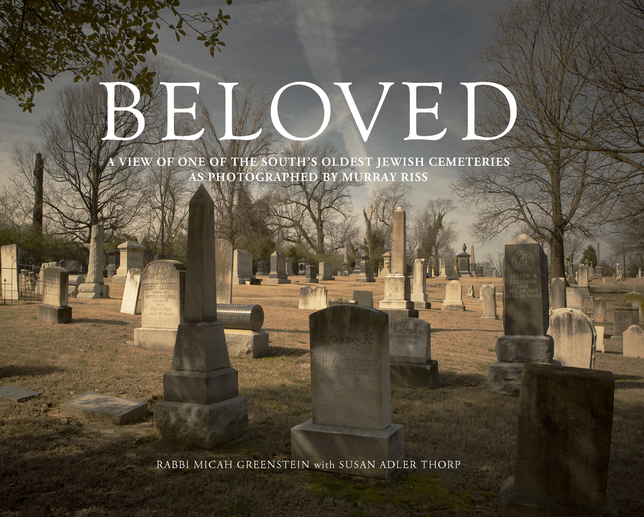  BELOVED cover  Historic Temple Israel Cemetery Book Project  180 pages  Photographs by Murray Riss  Text by Rabbi Micah Greenstein and Susan Adler Thorp  Design by Chuck Mitchell &amp; Reid Mitchell  Published by Susan Schadt Press  Production assis