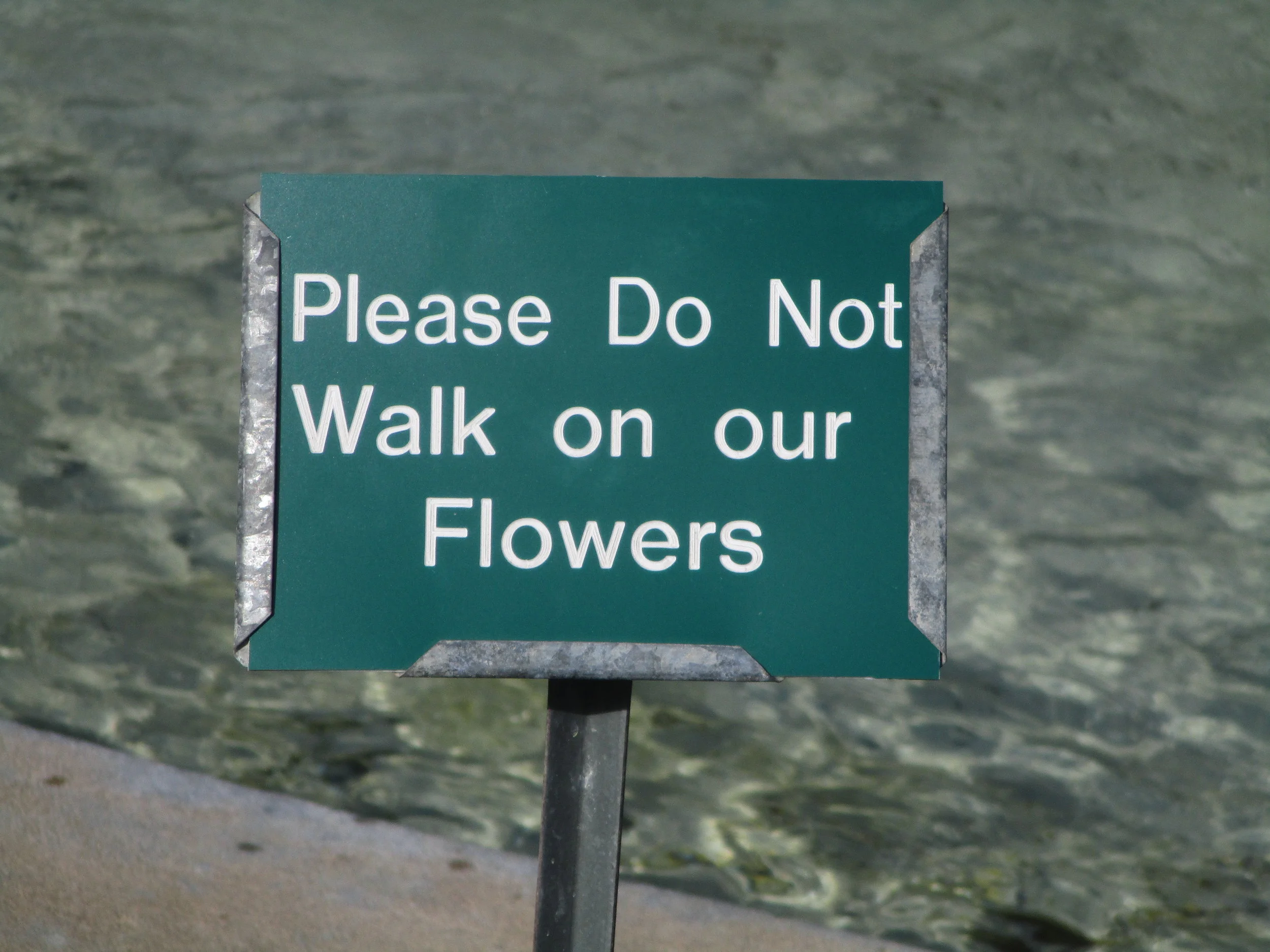 Seen in City Park, New Orleans. How sad that signs such as these are necessary.