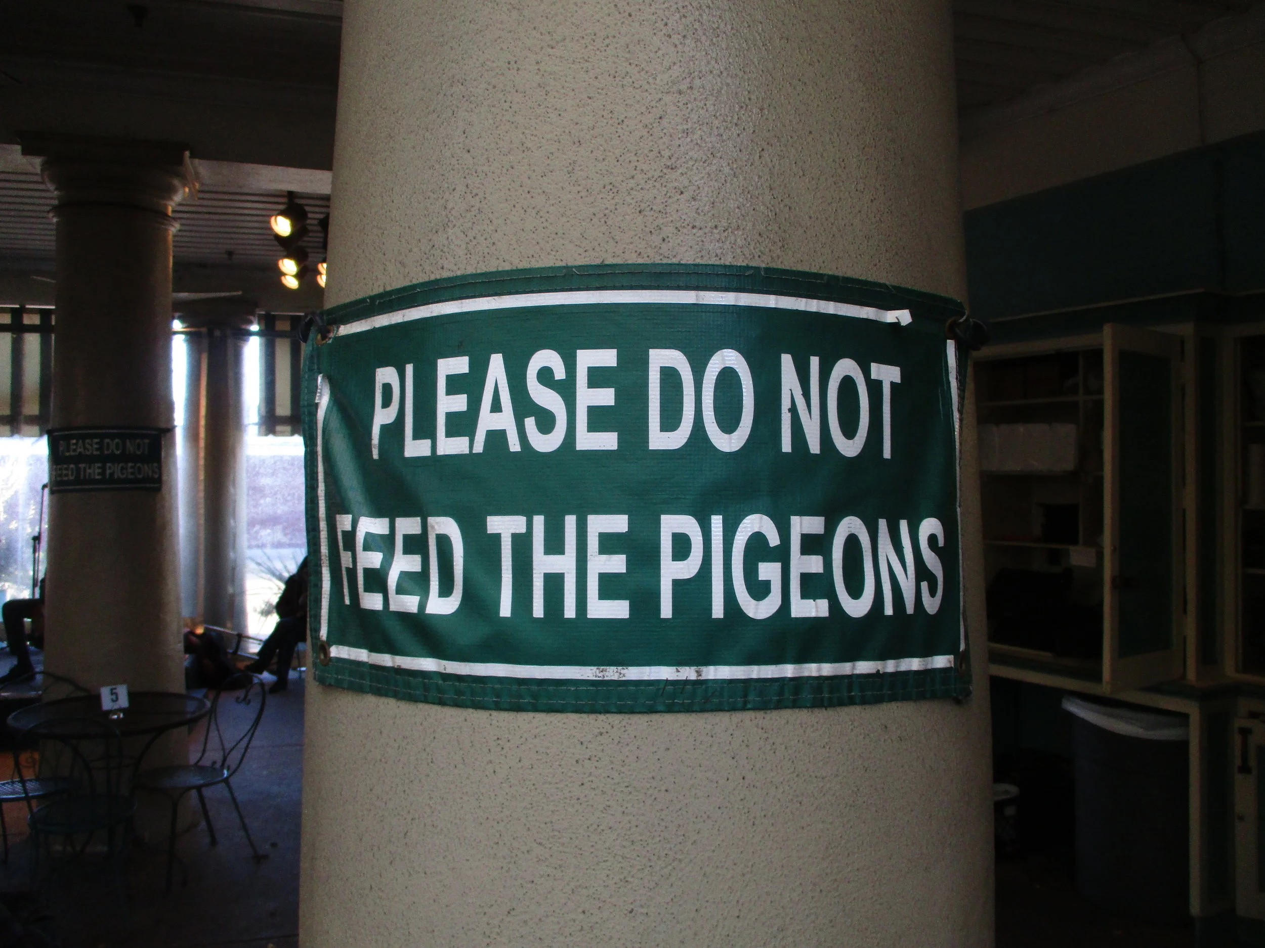 Inside the famous Café du Monde. Etiquetteer really does not understand the compulsion of tourists to feed pigeons. Perhaps Mary Poppins is to blame?