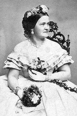 26433237d046d7630ce1599d41e9f56e--mary-todd-lincoln-abraham-lincoln.jpg