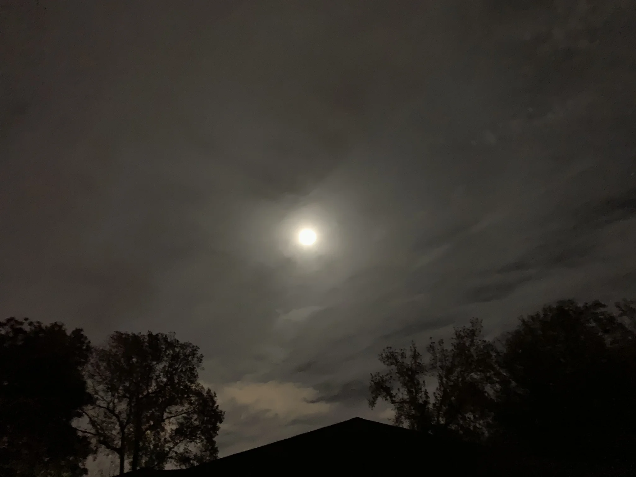 IMG_0569.jpeg