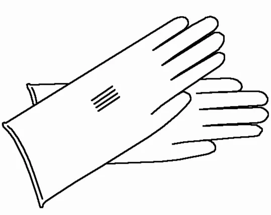 Gloves.jpg