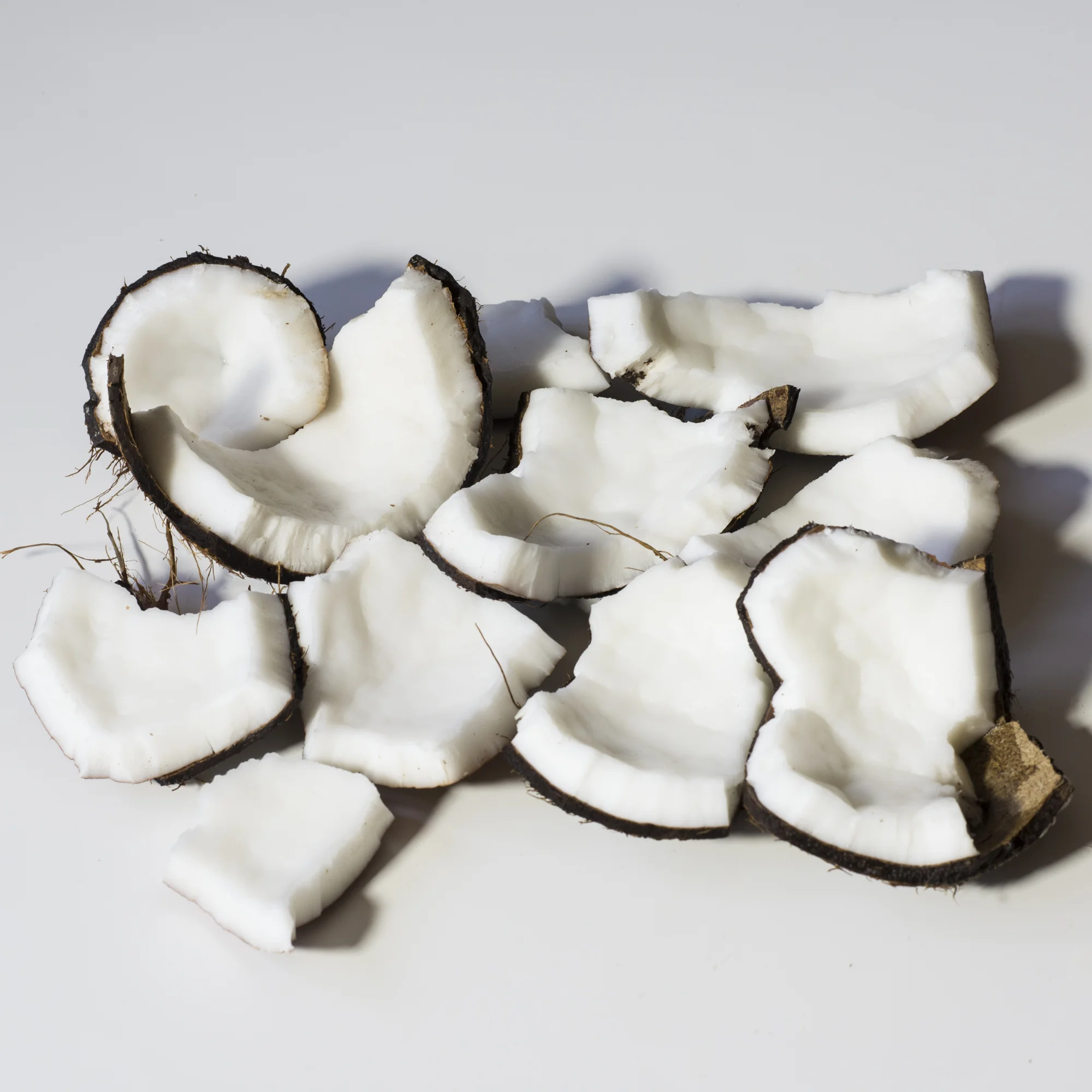 liberte_coconutStudies_11.jpg