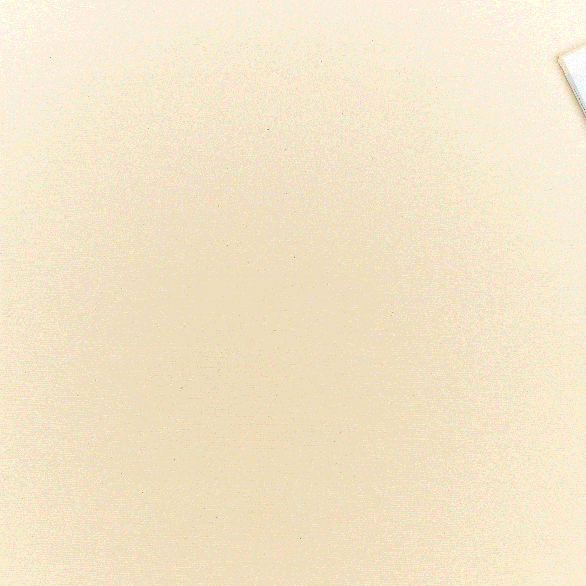 roseLoon_05-min.gif