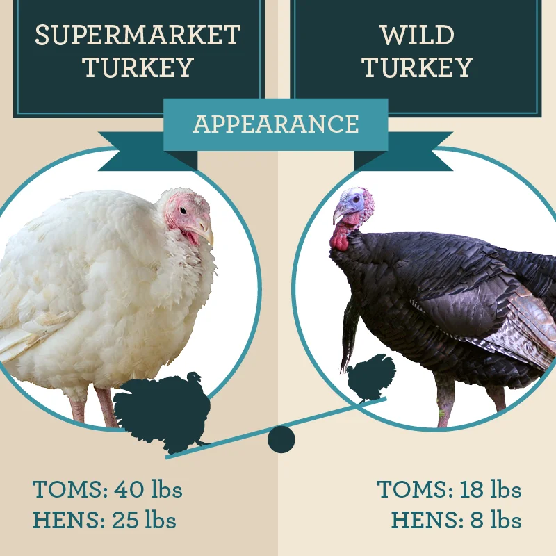 Infographic cover images_.jpg
