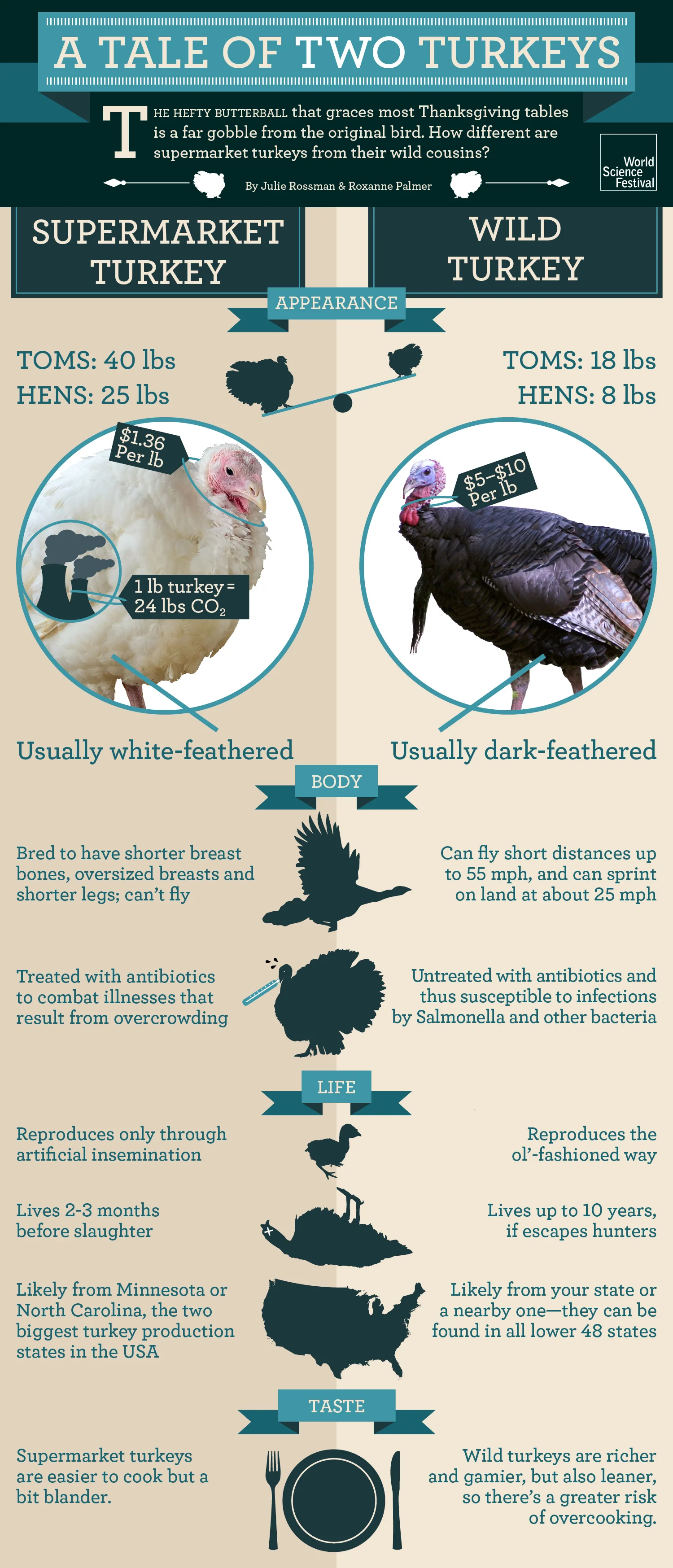 a tale of two turkeys_2015.jpg