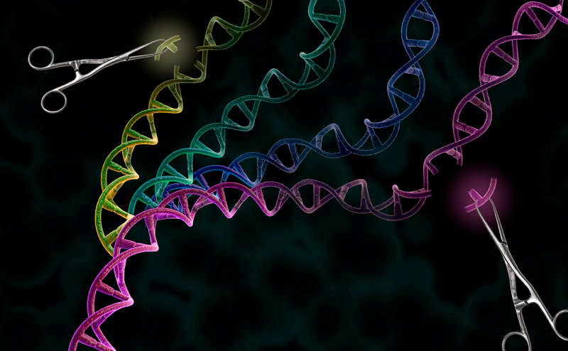800x494-CRISPR.jpg