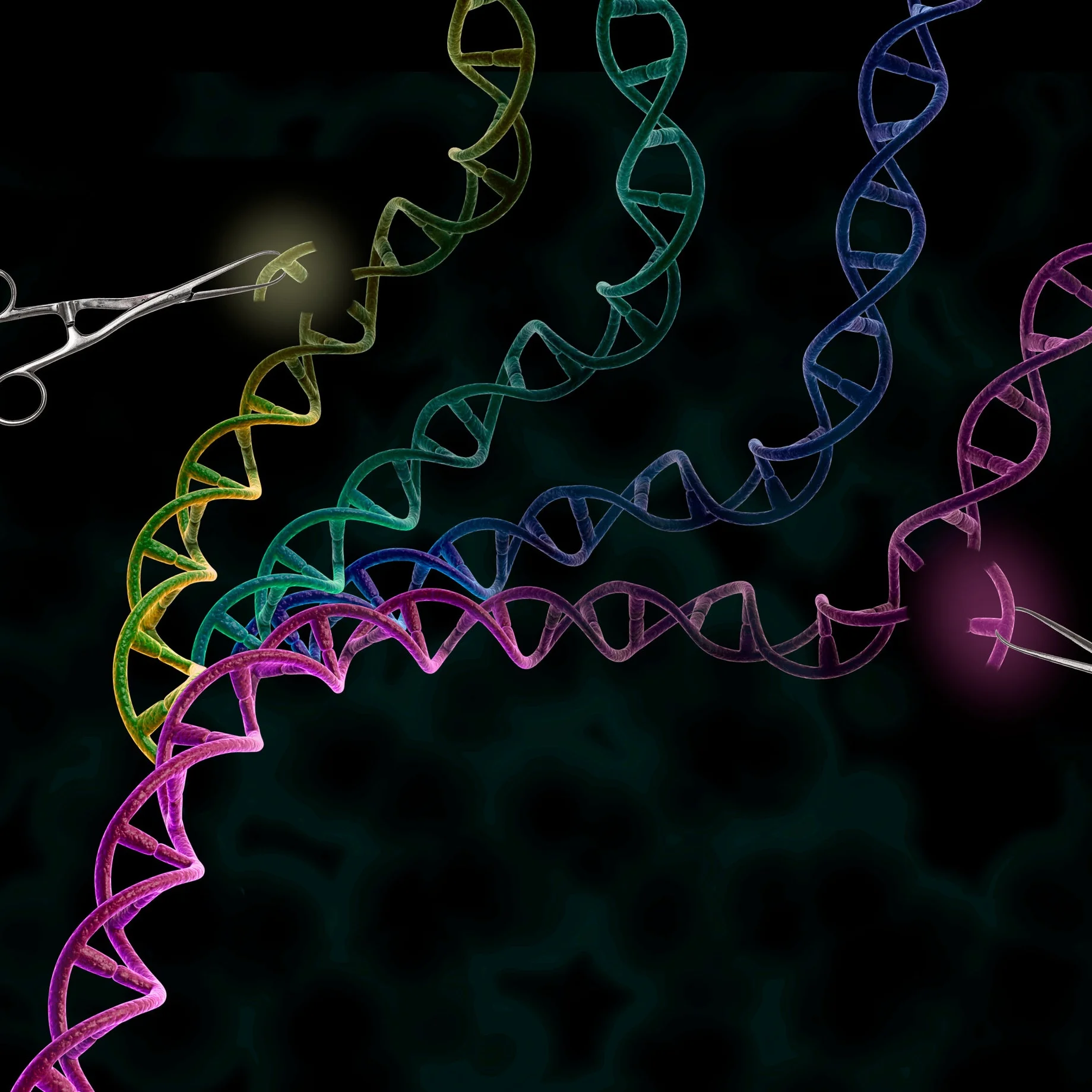 CRISPR-050318_media-slides.jpg