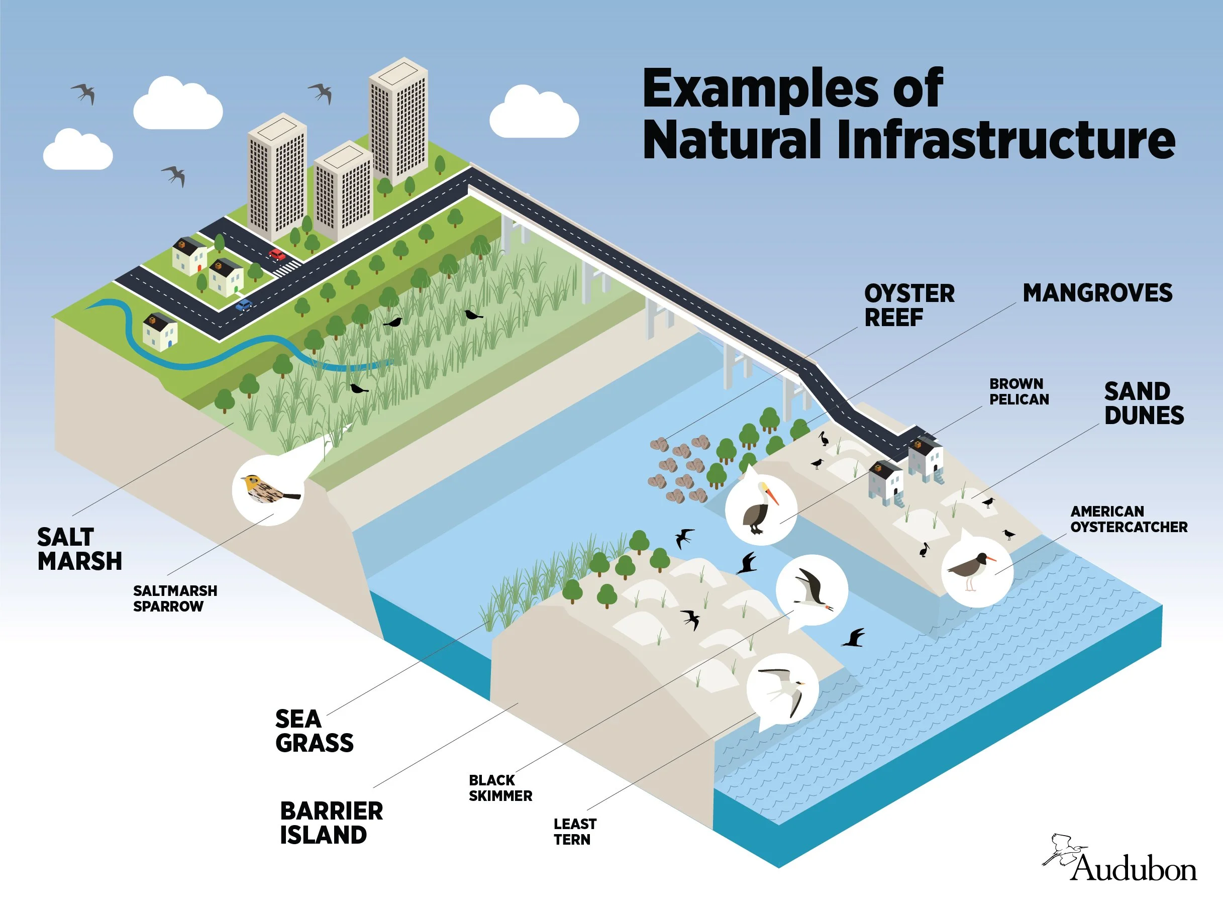 Natural infrastructure Infographic_logo 20210528-01.jpg