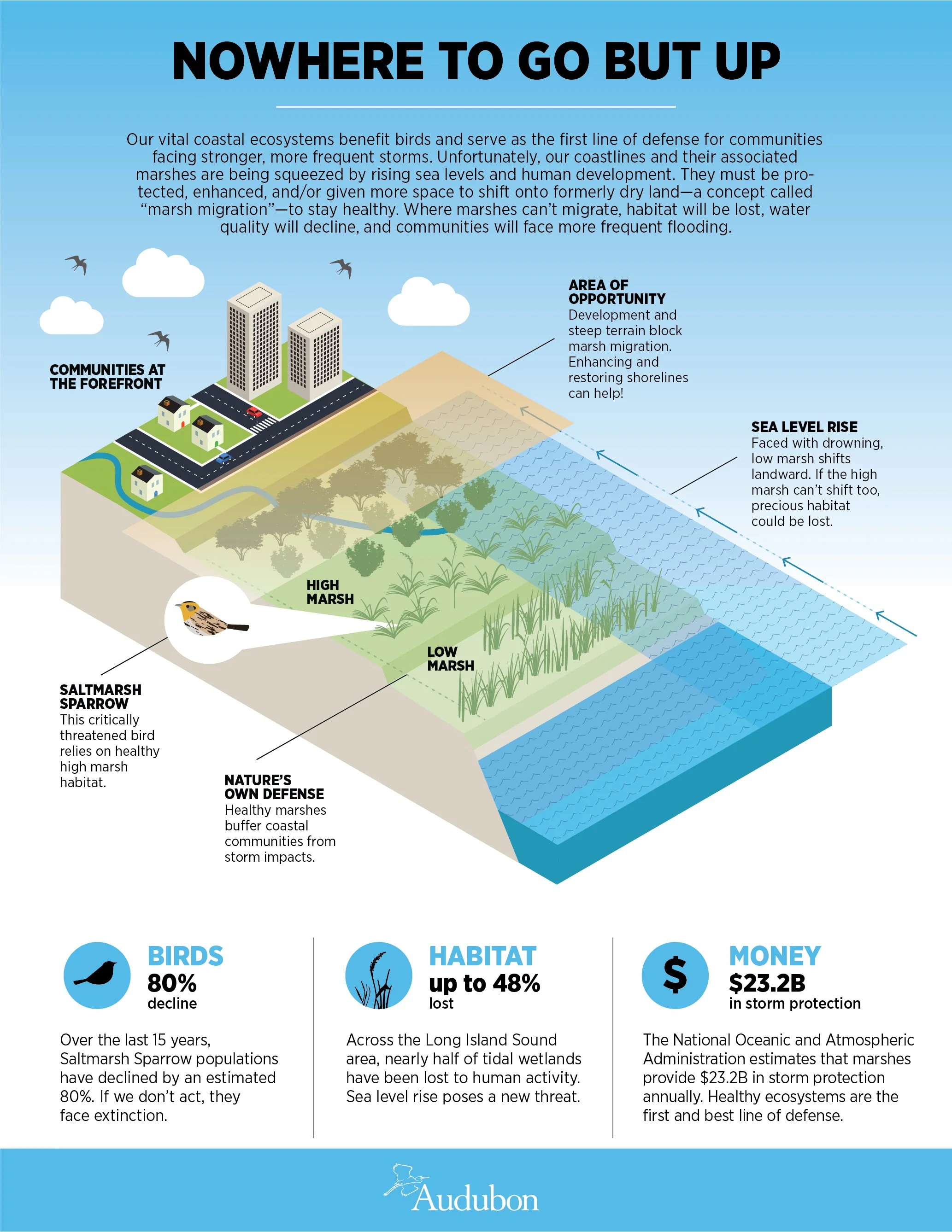 Salt Marsh Infographic FINAL 20210204-01.jpg