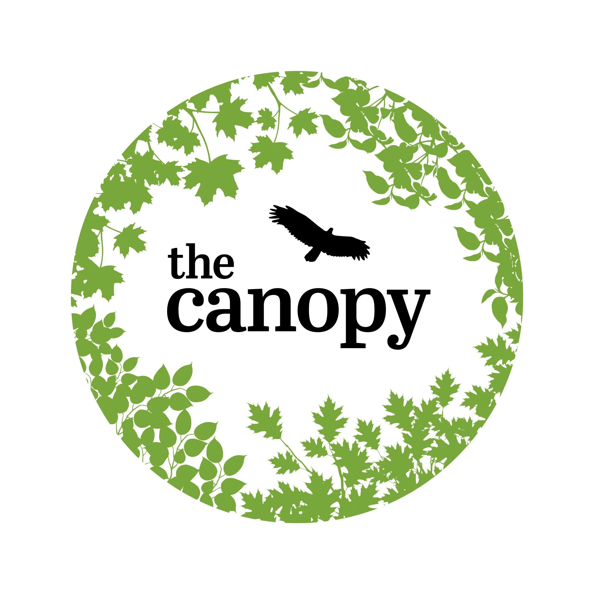 The-Canopy_logo_colorBLACK.jpg
