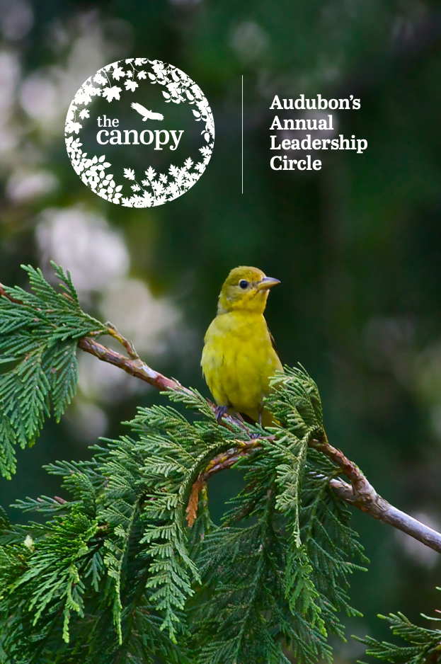 Screen Shot 2021-11-05 at 5.45.14 PM.png