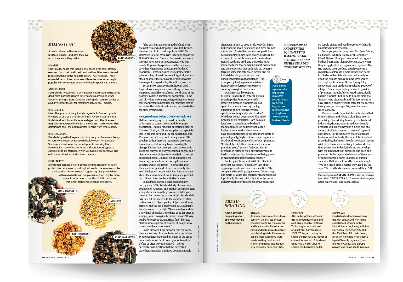 birdseed 1.jpg