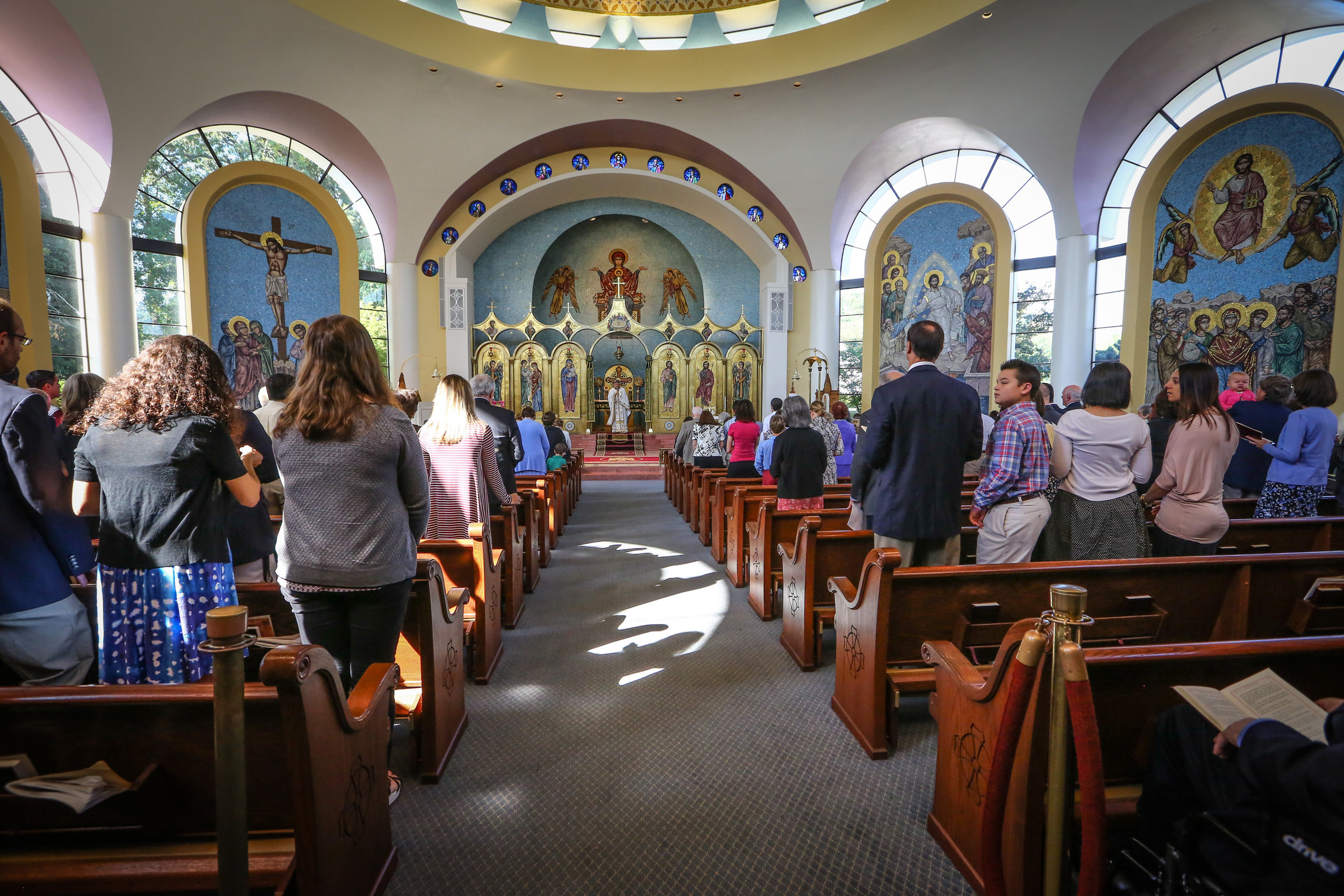 CS3_0587.jpg