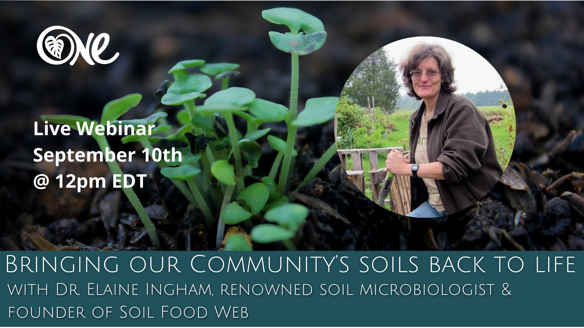 Bringing our Community’s soils back to life: the soil food web with Dr ...