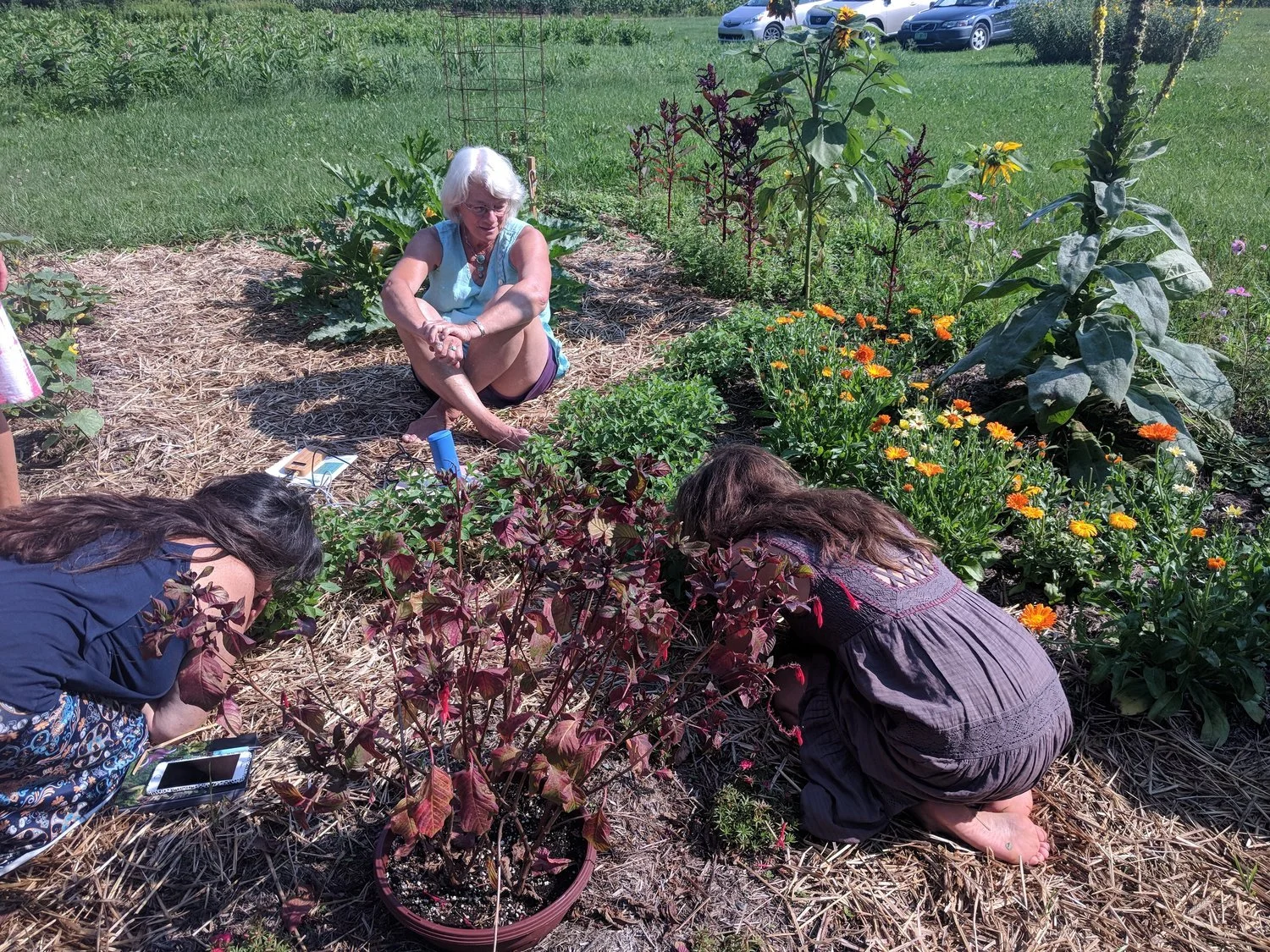 pam in garden.jpg