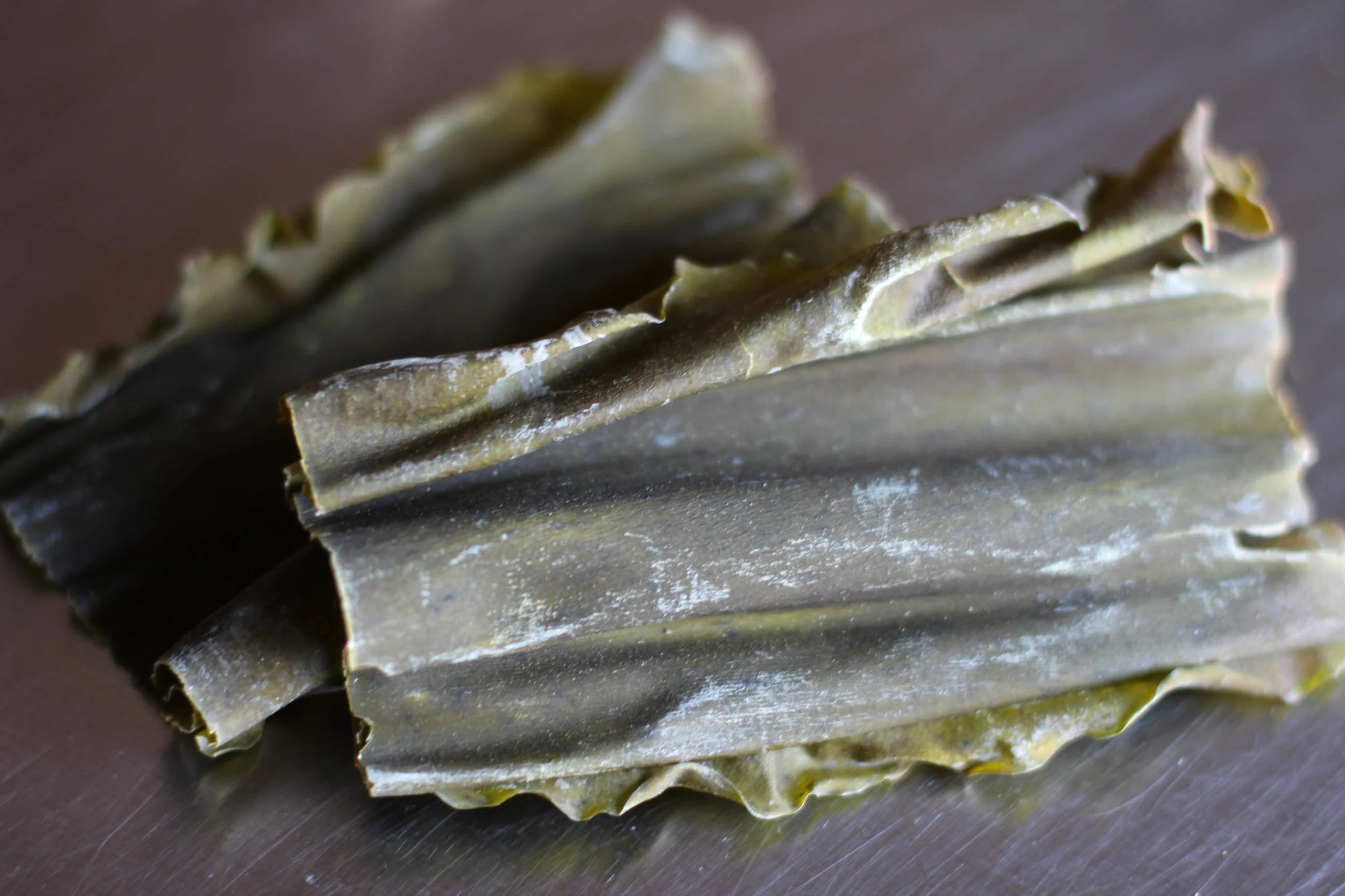 art-misc-kombu kelp.jpg