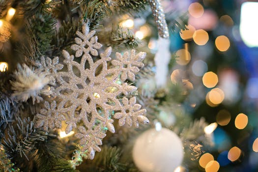 tree christmas lights.jpeg