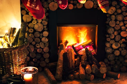 tree wood fire.jpeg