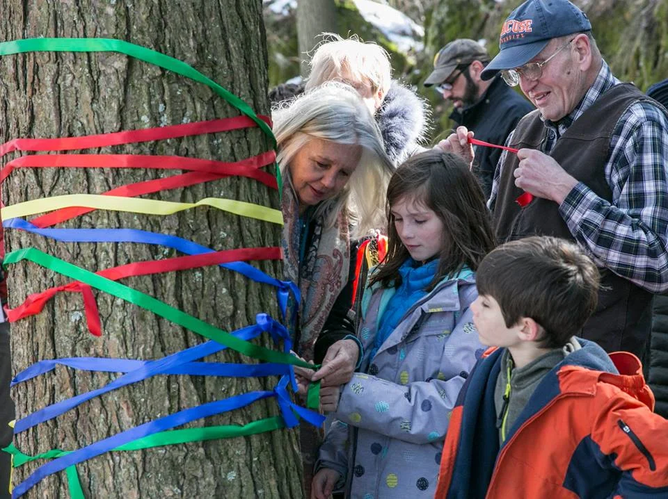 For a Tree in Sheffield, MA