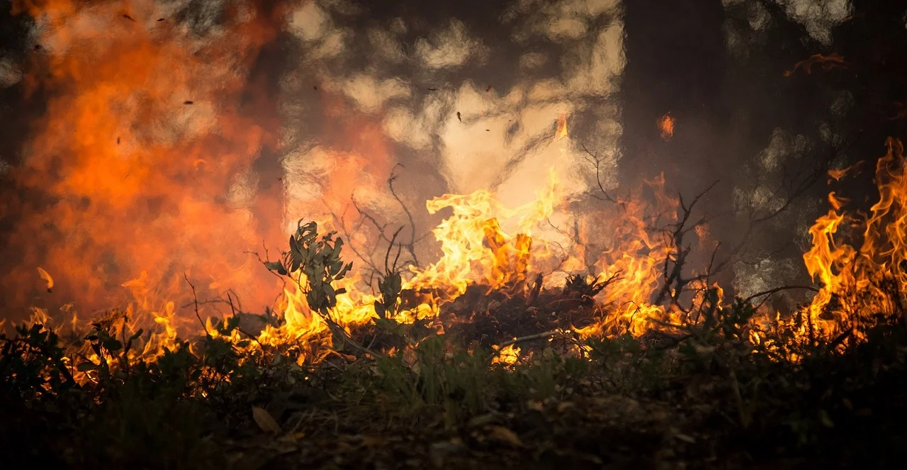 forest-fire.jpg