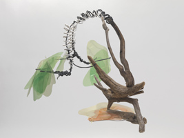 Consequences of climate change, Lung Tree, (Deforestation)