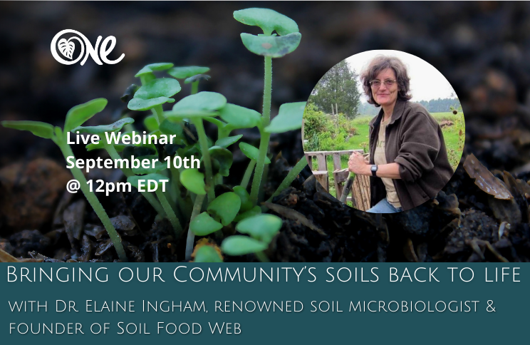 Events and Programs — Organization of Nature Evolutionaries