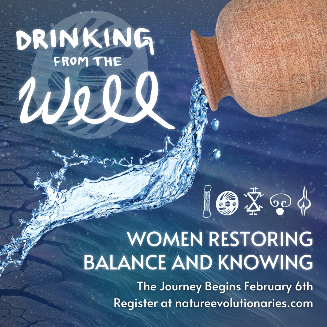 Drinking from the Well (Squares).png