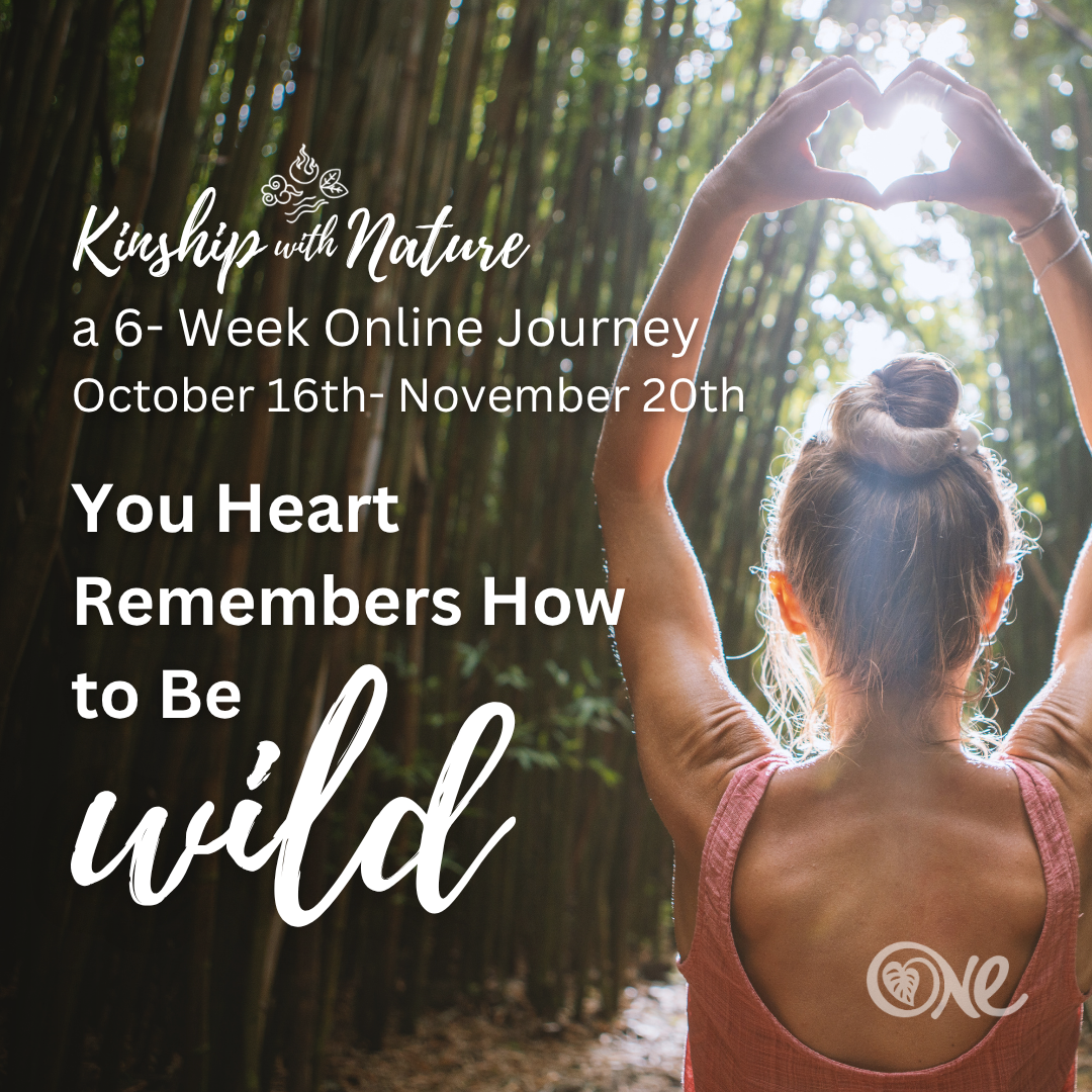 Kinship with Nature Facebook Ads (Square).png