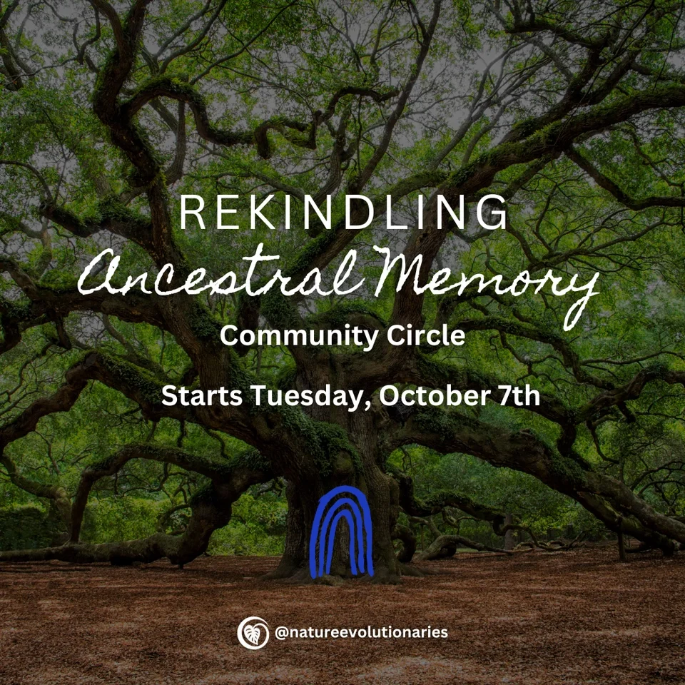 rekindling ancestral memory square.webp