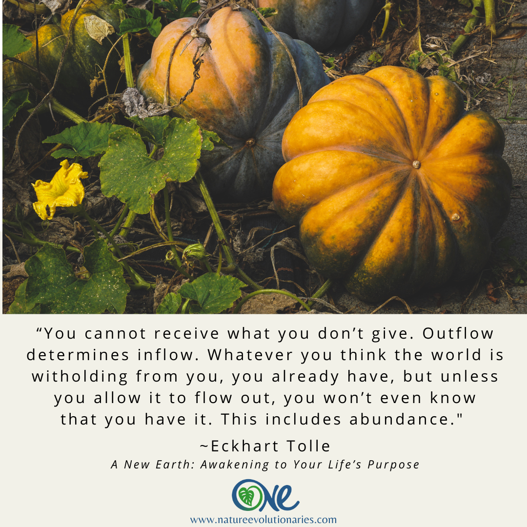 Outflow and Inflow