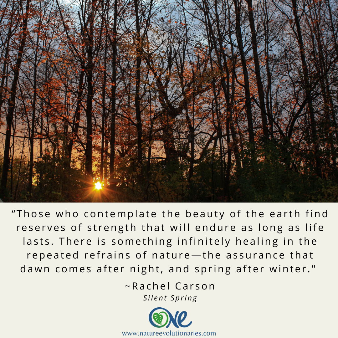 Reserves of Strength