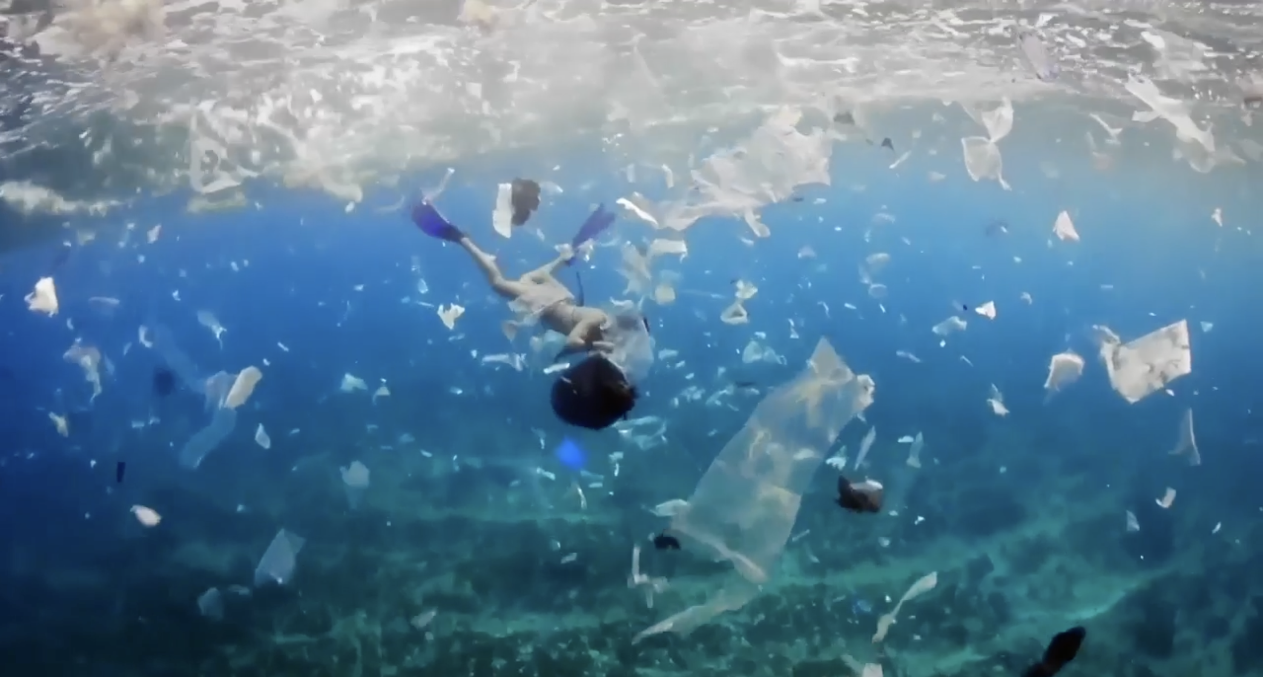 Earth Rights - Ocean Love in Action